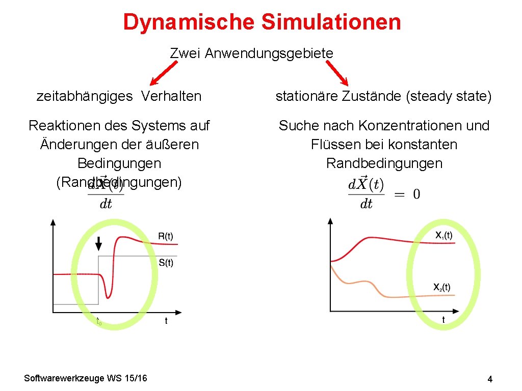 Dynamische Simulationen Zwei Anwendungsgebiete zeitabhängiges Verhalten stationäre Zustände (steady state) Reaktionen des Systems auf