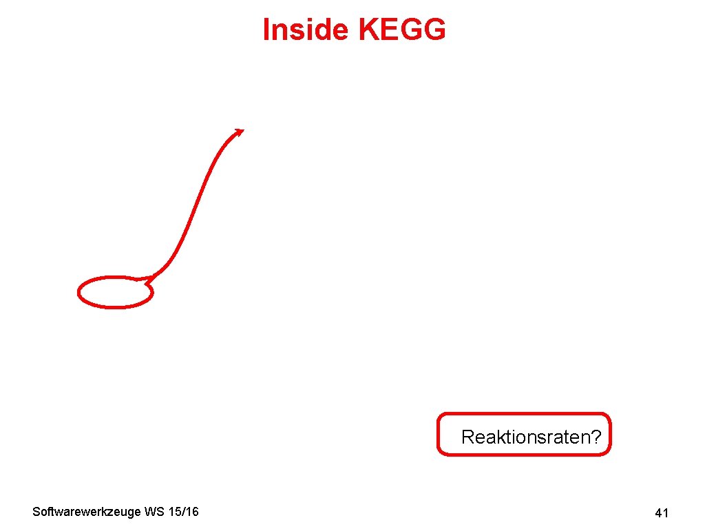 Inside KEGG Reaktionsraten? Softwarewerkzeuge WS 15/16 41 