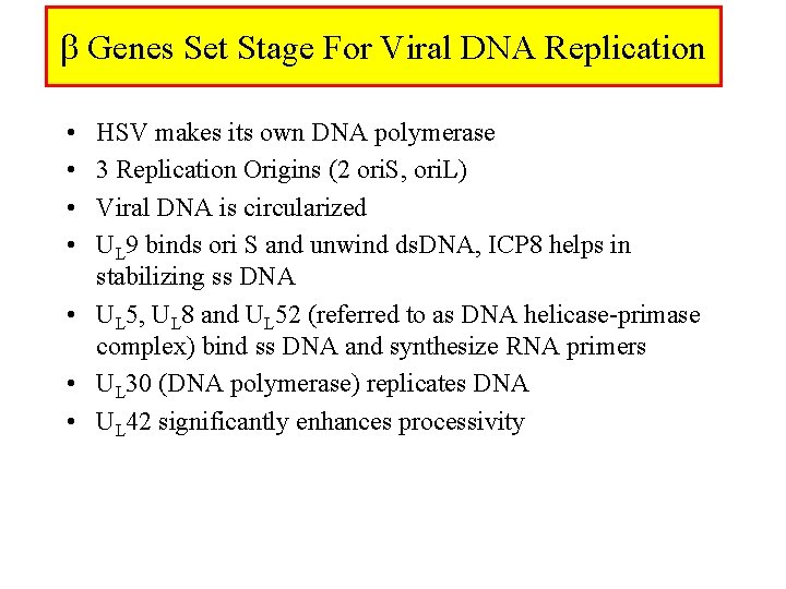  Genes Set Stage For Viral DNA Replication • • HSV makes its own