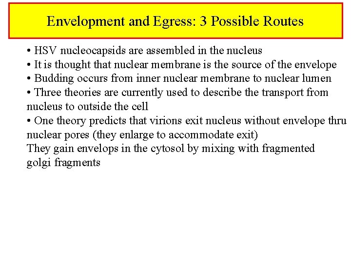 Envelopment and Egress: 3 Possible Routes • HSV nucleocapsids are assembled in the nucleus