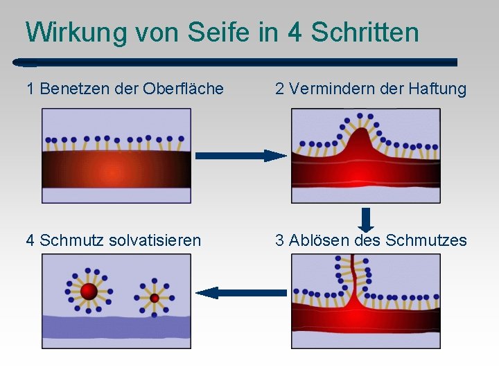 Wirkung von Seife in 4 Schritten 1 Benetzen der Oberfläche 2 Vermindern der Haftung