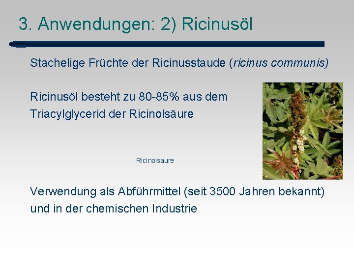 3. Anwendungen: 2) Ricinusöl Stachelige Früchte der Ricinusstaude (ricinus communis) Ricinusöl besteht zu 80