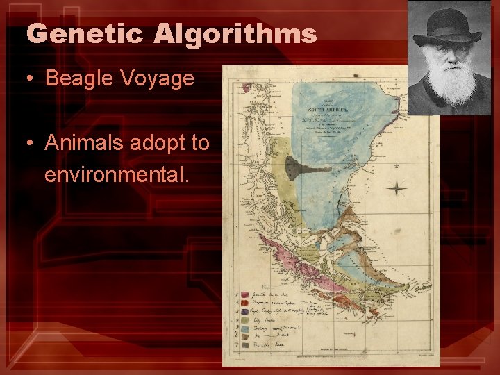 Genetic Algorithms • Beagle Voyage • Animals adopt to environmental. Genetic Algorithms • Beagle Voyage • Animals adopt to environmental.