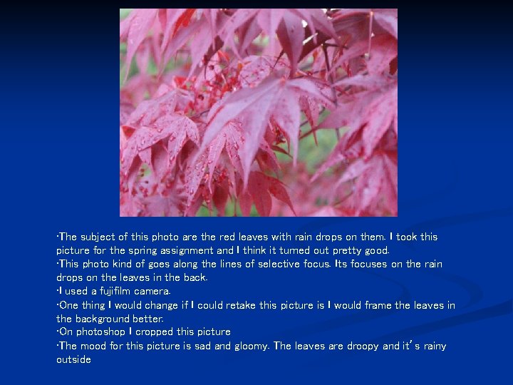  • The subject of this photo are the red leaves with rain drops