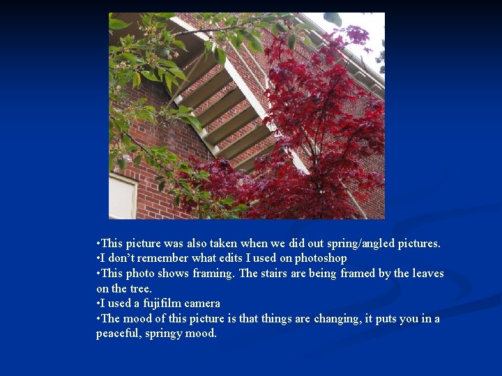  • This picture was also taken when we did out spring/angled pictures. •