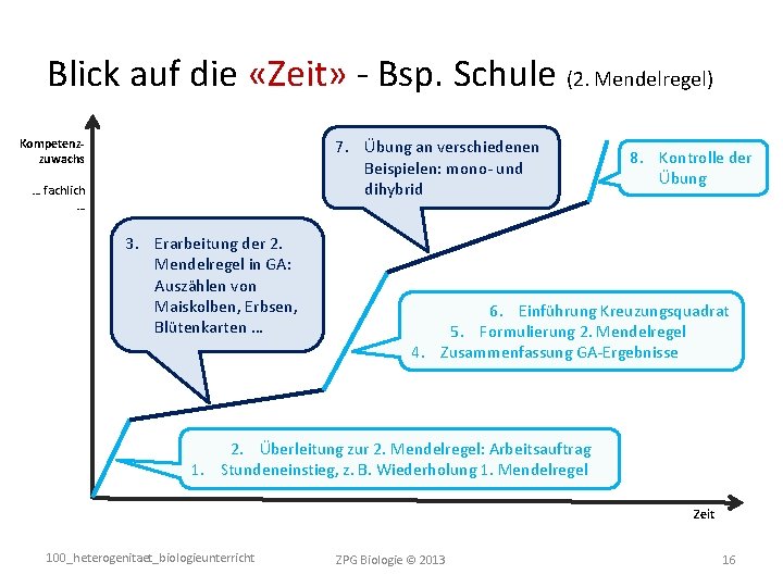 Blick auf die «Zeit» - Bsp. Schule (2. Mendelregel) Kompetenzzuwachs 7. Übung an verschiedenen