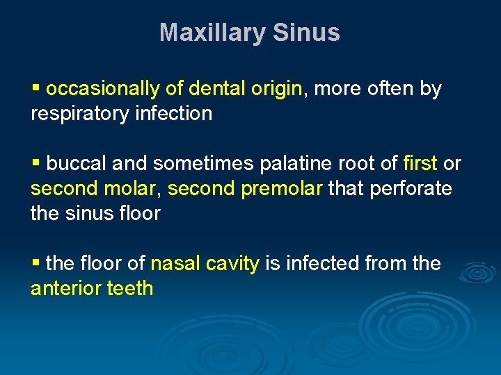 Maxillary Sinus § occasionally of dental origin, more often by respiratory infection § buccal