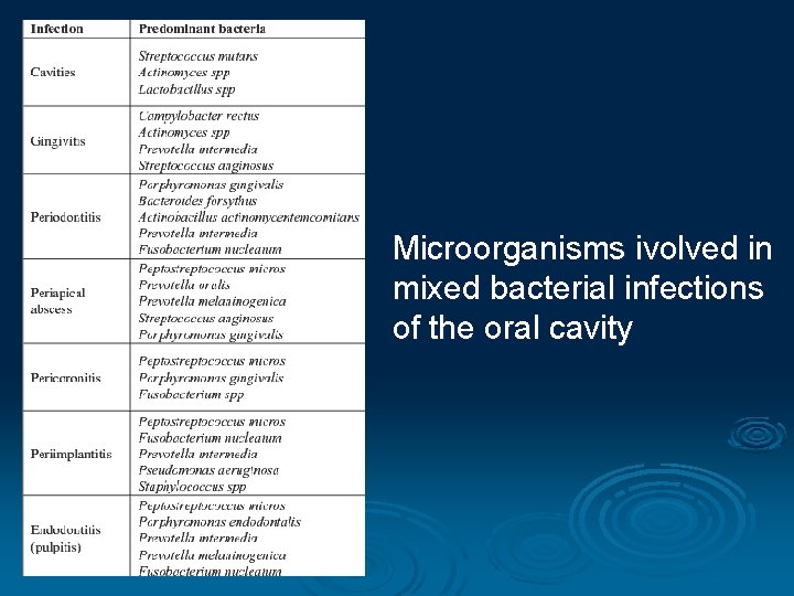 Microorganisms ivolved in mixed bacterial infections of the oral cavity 