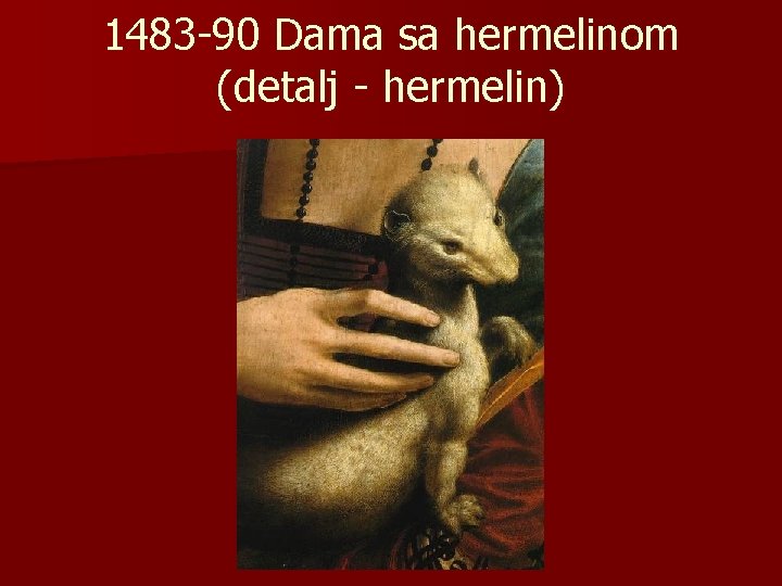 1483 -90 Dama sa hermelinom (detalj - hermelin) 