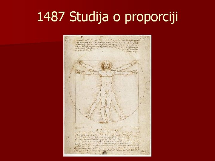 1487 Studija o proporciji 