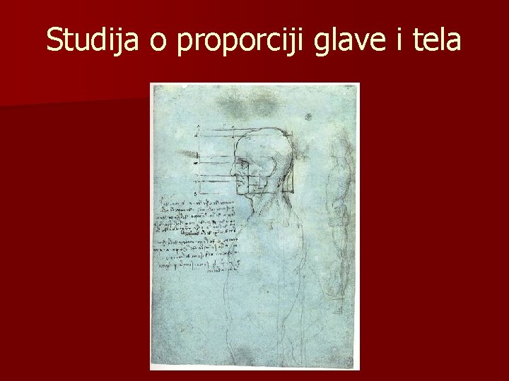 Studija o proporciji glave i tela 