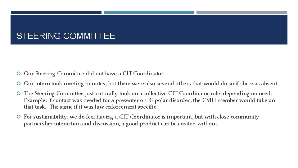 STEERING COMMITTEE Our Steering Committee did not have a CIT Coordinator. Our intern took