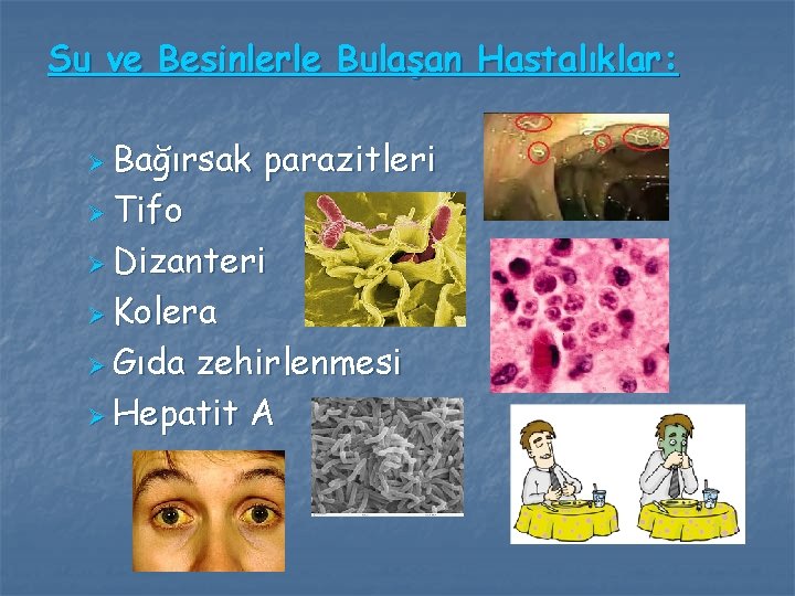 Su ve Besinlerle Bulaşan Hastalıklar: Ø Bağırsak Ø Tifo parazitleri Ø Dizanteri Ø Kolera