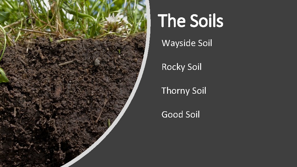 The Soils Wayside Soil Rocky Soil Thorny Soil Good Soil 
