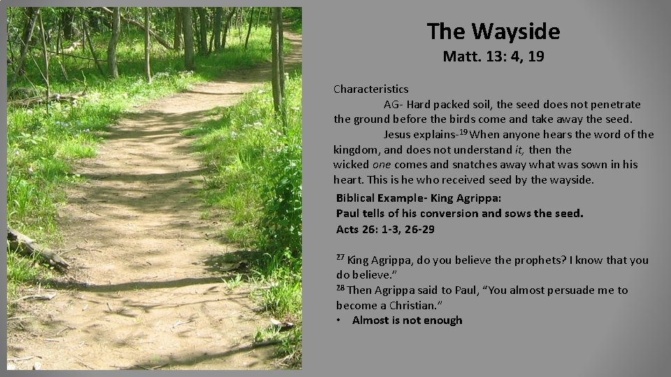 The Wayside Matt. 13: 4, 19 Characteristics AG- Hard packed soil, the seed does