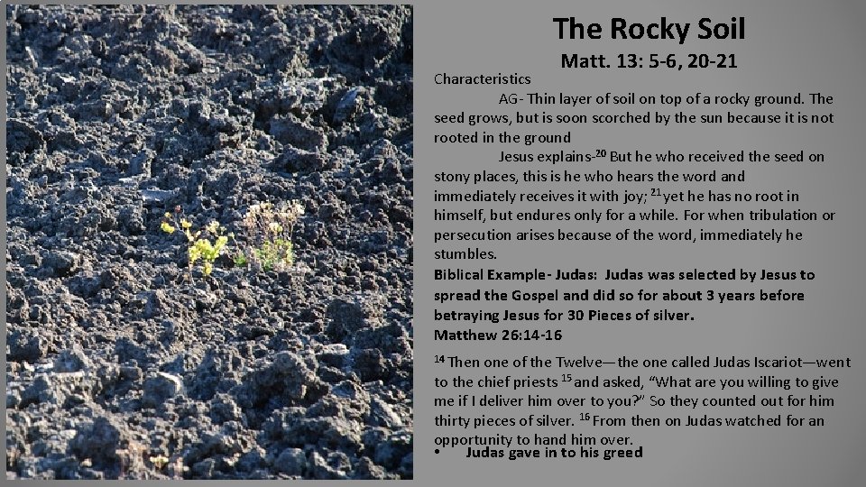 The Rocky Soil Matt. 13: 5 -6, 20 -21 Characteristics AG- Thin layer of