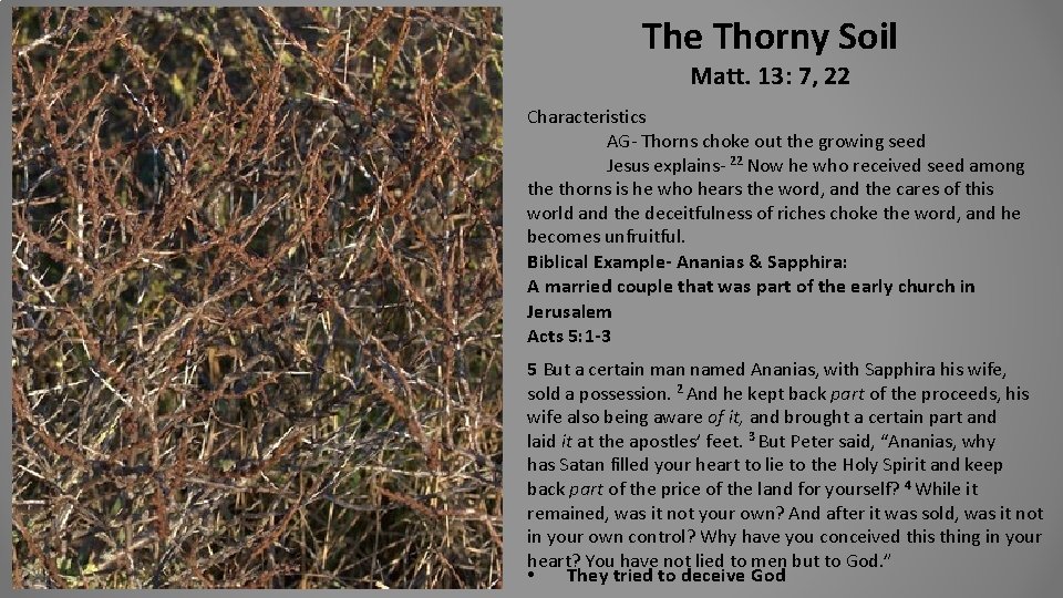 The Thorny Soil Matt. 13: 7, 22 Characteristics AG- Thorns choke out the growing
