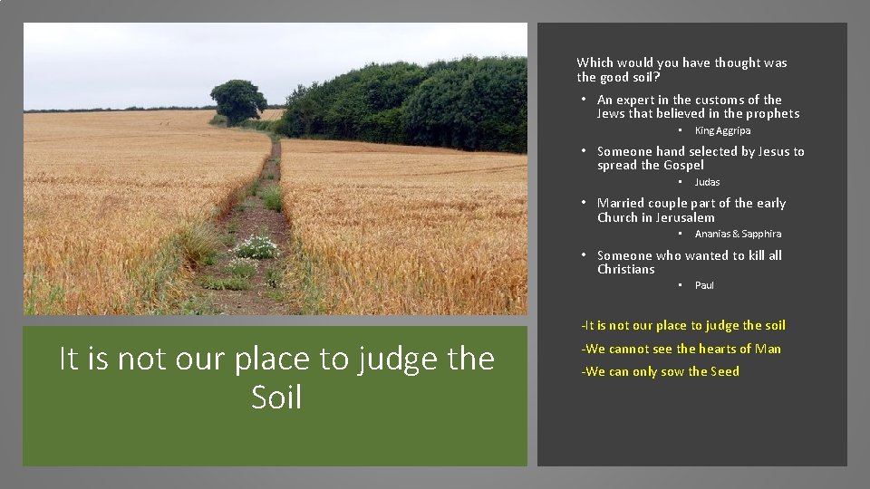 Which would you have thought was the good soil? • An expert in the