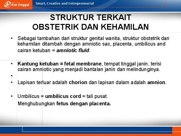 STRUKTUR TERKAIT OBSTETRIK DAN KEHAMILAN • Sebagai tambahan dari struktur genital wanita, struktur obstetrik