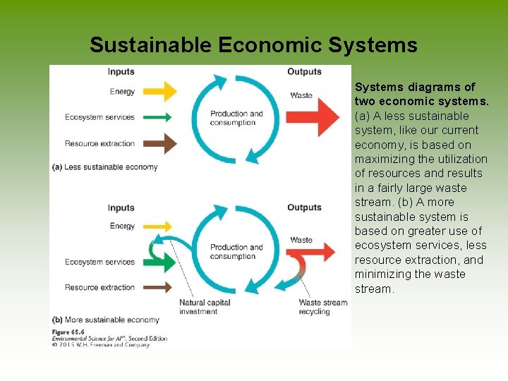 Sustainable Economic Systems diagrams of two economic systems. (a) A less sustainable system, like