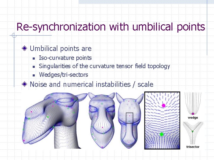 Re-synchronization with umbilical points Umbilical points are n n n Iso-curvature points Singularities of