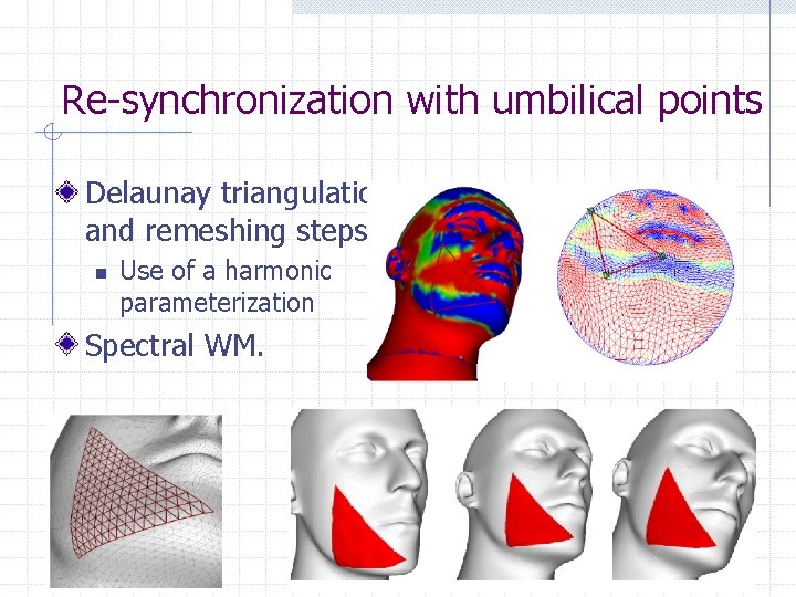 Re-synchronization with umbilical points Delaunay triangulation and remeshing steps n Use of a harmonic