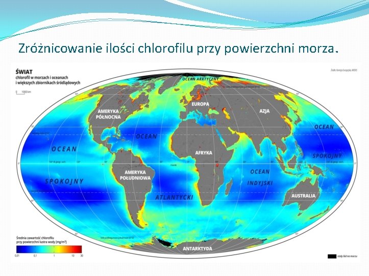 Zróżnicowanie ilości chlorofilu przy powierzchni morza. 