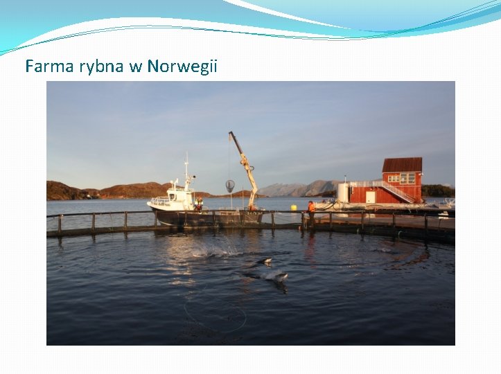 Farma rybna w Norwegii 