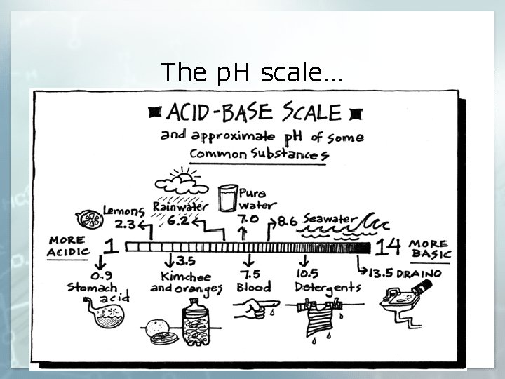 The p. H scale… 