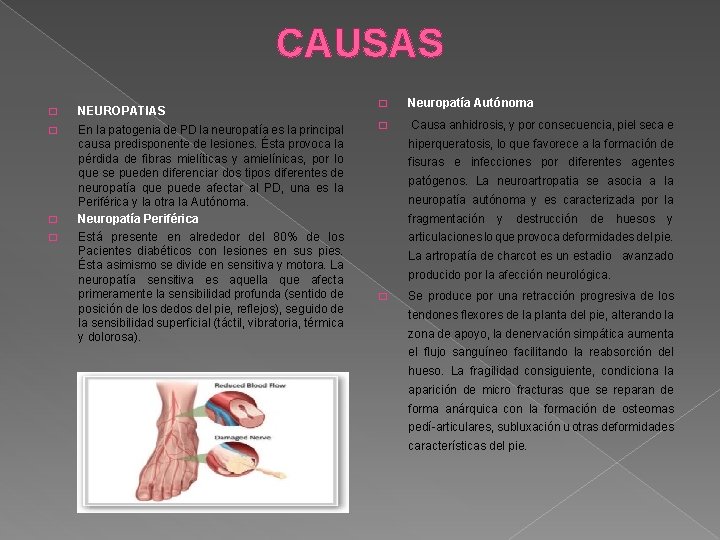 CAUSAS � NEUROPATIAS � En la patogenia de PD la neuropatía es la principal
