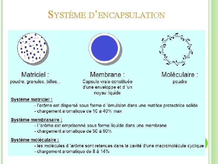 SYSTÈME D’ENCAPSULATION 