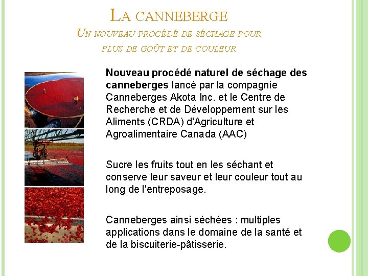 LA CANNEBERGE UN NOUVEAU PROCÉDÉ DE SÉCHAGE POUR PLUS DE GOÛT ET DE COULEUR