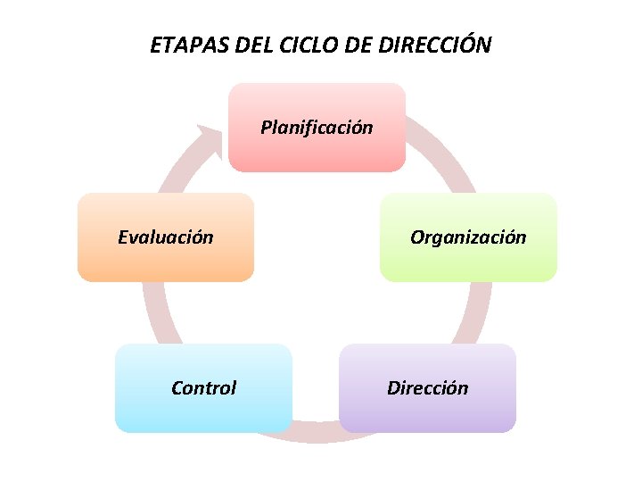 ETAPAS DEL CICLO DE DIRECCIÓN Planificación Evaluación Control Organización Dirección 