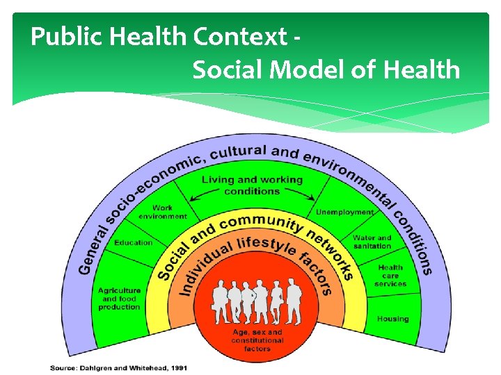 Public Health Context Social Model of Health 