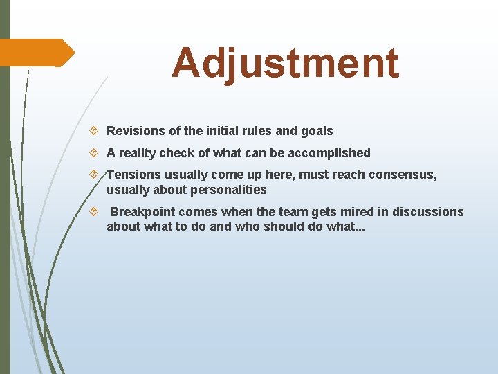 Adjustment Revisions of the initial rules and goals A reality check of what can
