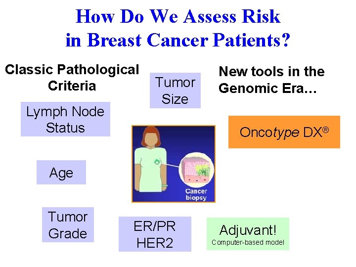 How Do We Assess Risk in Breast Cancer Patients? Classic Pathological Criteria Lymph Node