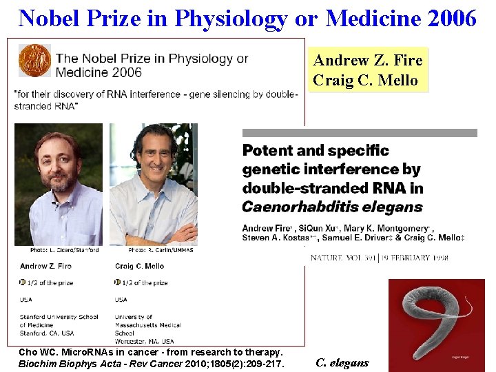 Nobel Prize in Physiology or Medicine 2006 Andrew Z. Fire Craig C. Mello Cho