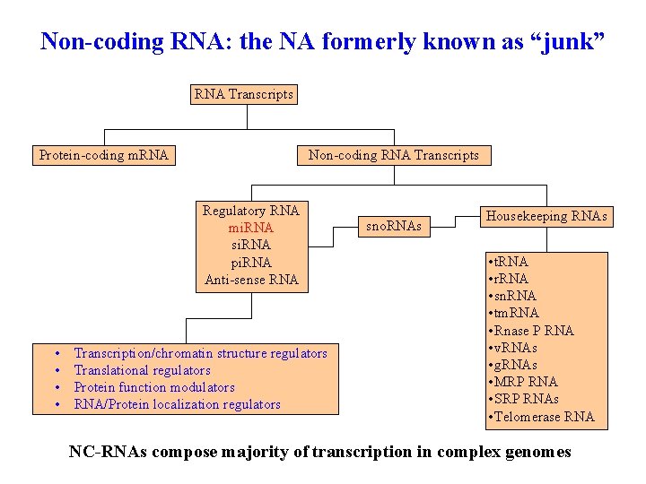 Non-coding RNA: the NA formerly known as “junk” RNA Transcripts Protein-coding m. RNA Non-coding