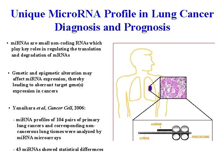 Unique Micro. RNA Profile in Lung Cancer Diagnosis and Prognosis • mi. RNAs are