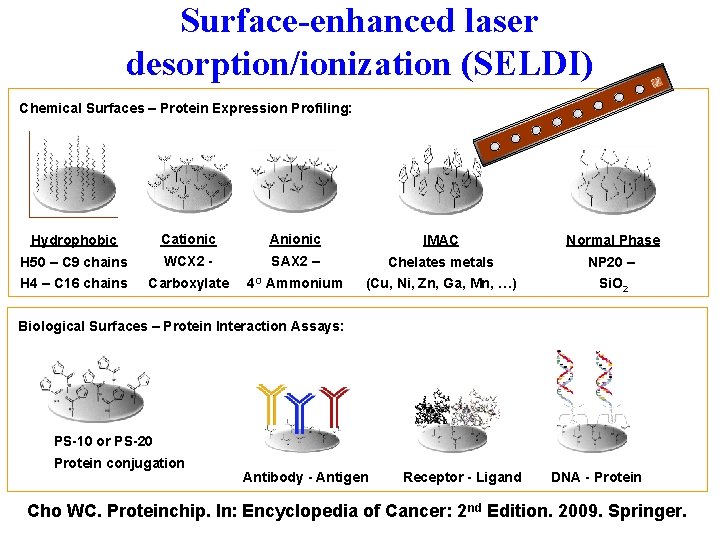 Surface-enhanced laser desorption/ionization (SELDI) Chemical Surfaces – Protein Expression Profiling: Hydrophobic Cationic Anionic IMAC