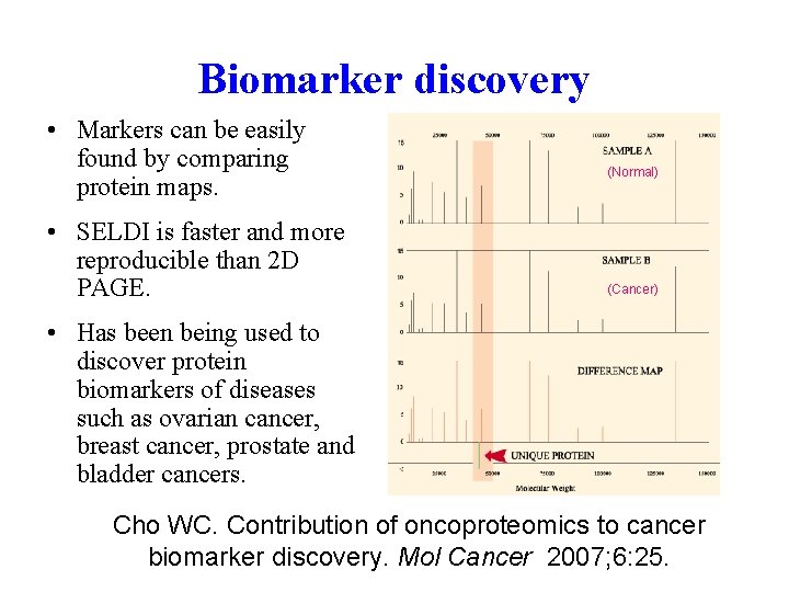 Biomarker discovery • Markers can be easily found by comparing protein maps. • SELDI