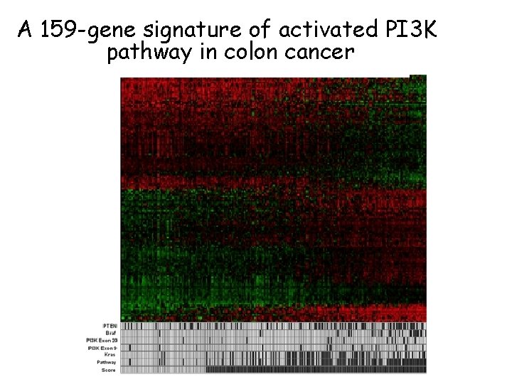 A 159 -gene signature of activated PI 3 K pathway in colon cancer 
