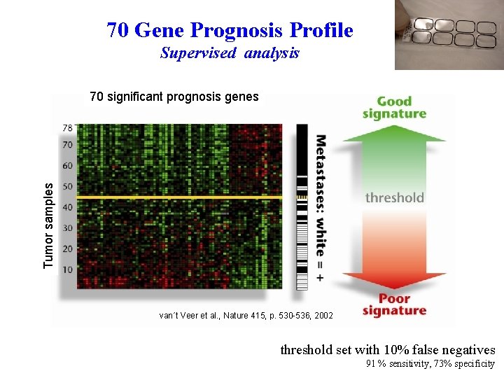 70 Gene Prognosis Profile Supervised analysis Tumor samples 70 significant prognosis genes van´t Veer