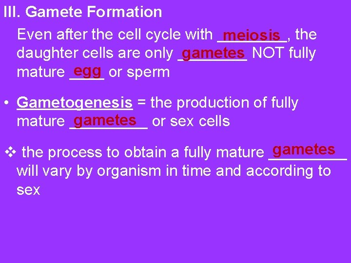 III. Gamete Formation Even after the cell cycle with ____, the meiosis gametes daughter