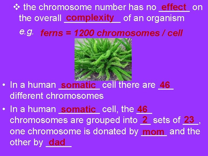 effect v the chromosome number has no ______ on complexity the overall ______ of