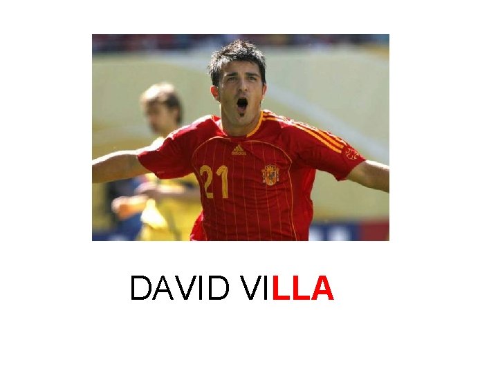 DAVID VILLA 