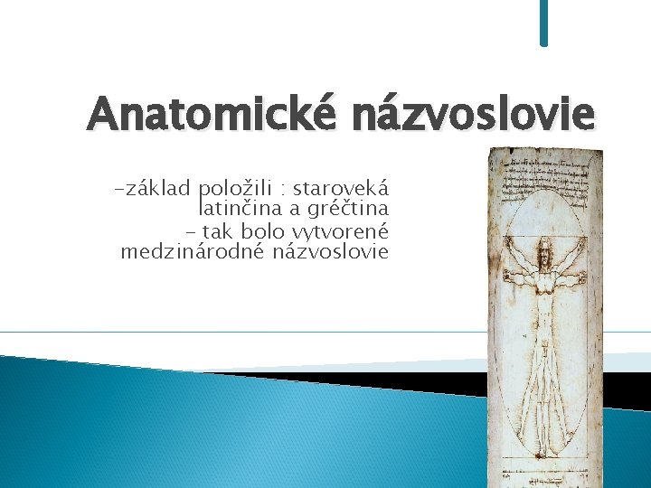 Anatomické názvoslovie -základ položili : staroveká latinčina a gréčtina - tak bolo vytvorené medzinárodné