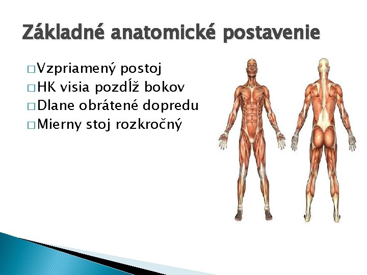 Základné anatomické postavenie � Vzpriamený postoj � HK visia pozdĺž bokov � Dlane obrátené