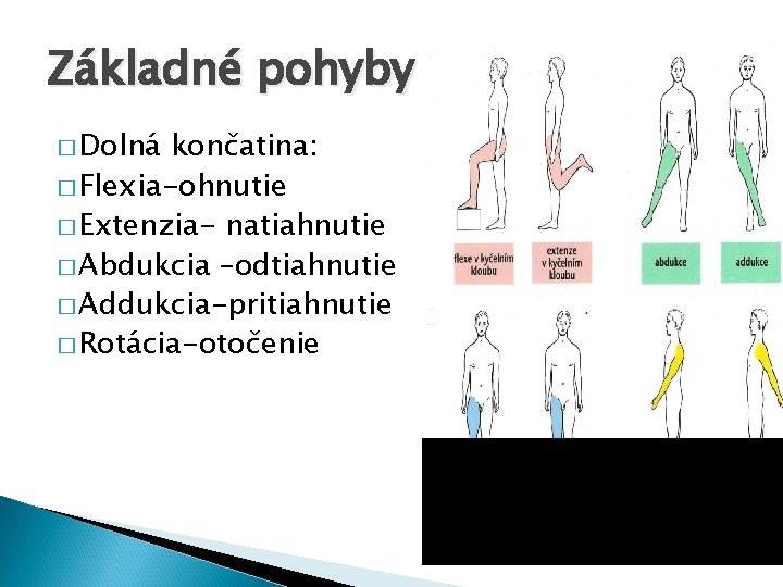 Základné pohyby končatín � Dolná končatina: � Flexia-ohnutie � Extenzia- natiahnutie � Abdukcia –odtiahnutie