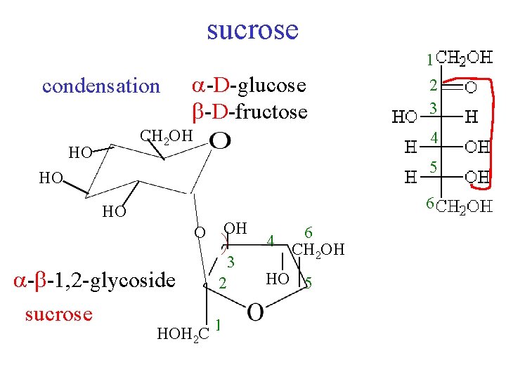 sucrose 1 condensation -D-glucose -D-fructose CH 2 OH HO 2 3 4 5 HO
